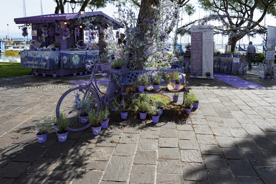 20140831 103311•Desenzano del Garda•Lombardy•Italy